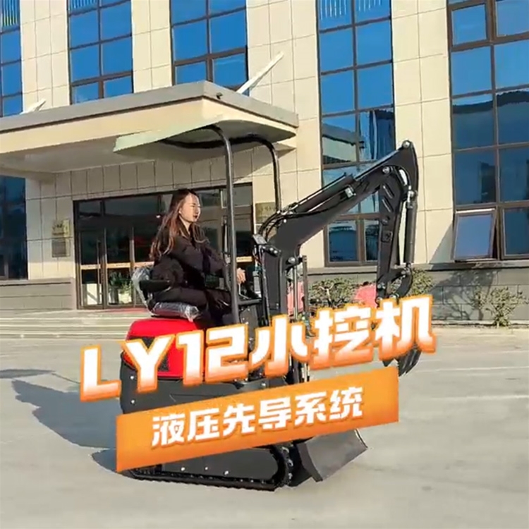 LY12小挖机使用视频